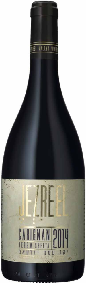 Jezreel Carignan-0