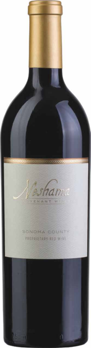 Covenant Neshama-0